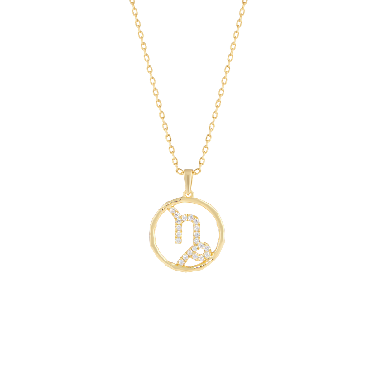 Capricorn medallion pendant necklace - Capricorn Zodiac Pendant Necklace -  The Future Rocks -    1