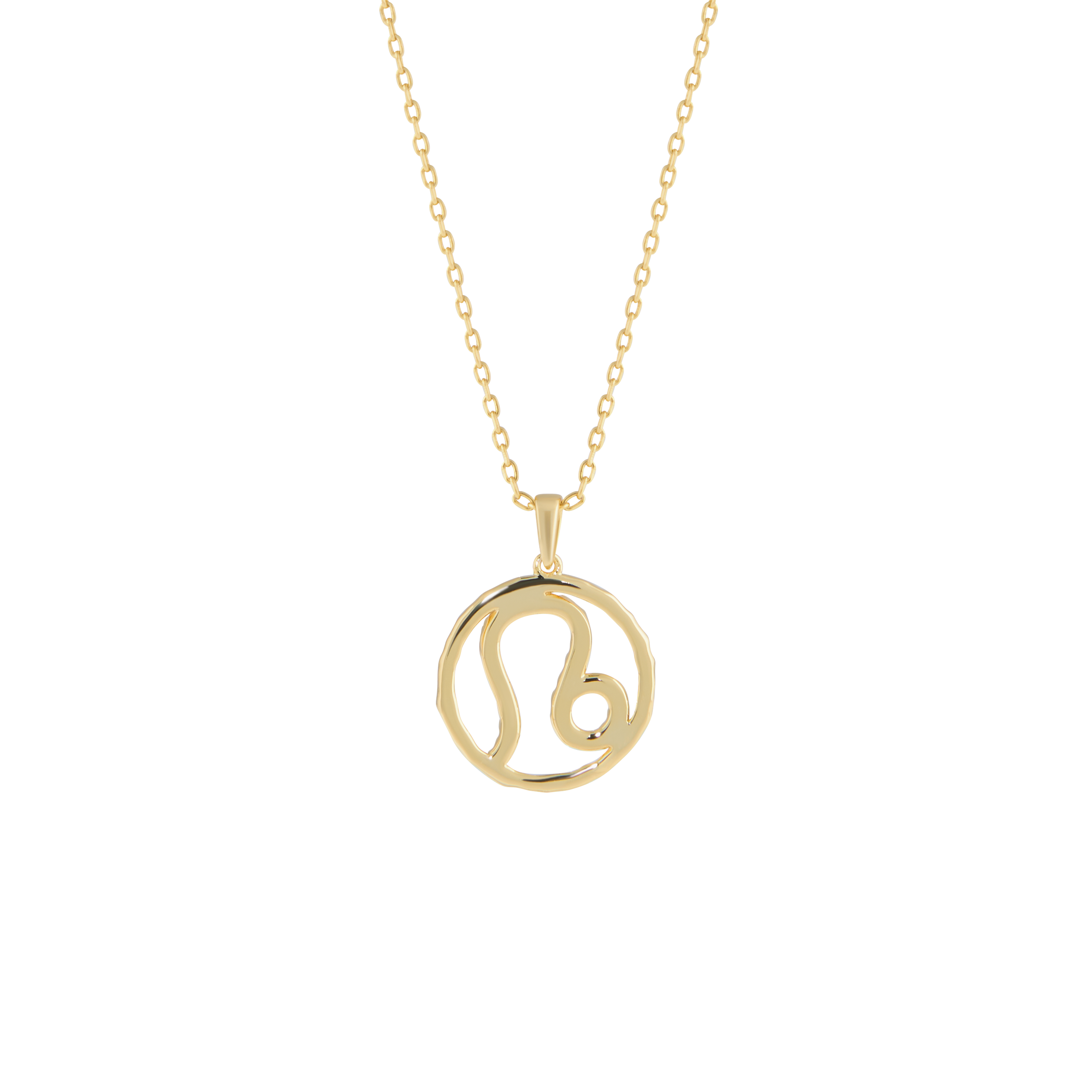 Leo medallion pendant necklace - Leo medallion pendant necklace -  The Future Rocks -    4 