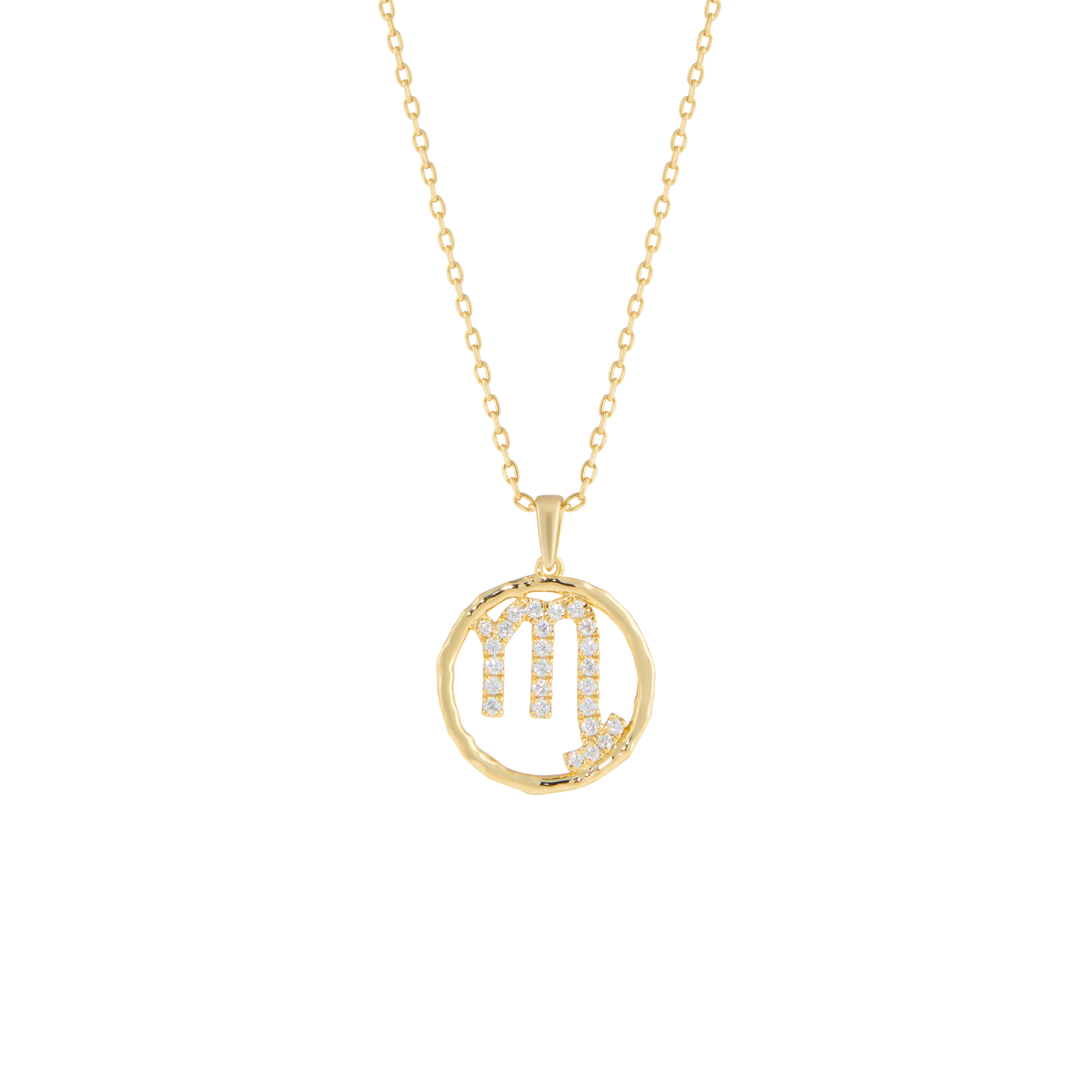 Scorpio medallion pendant necklace - Scorpio Zodiac Pendant Necklace -  The Future Rocks -    1