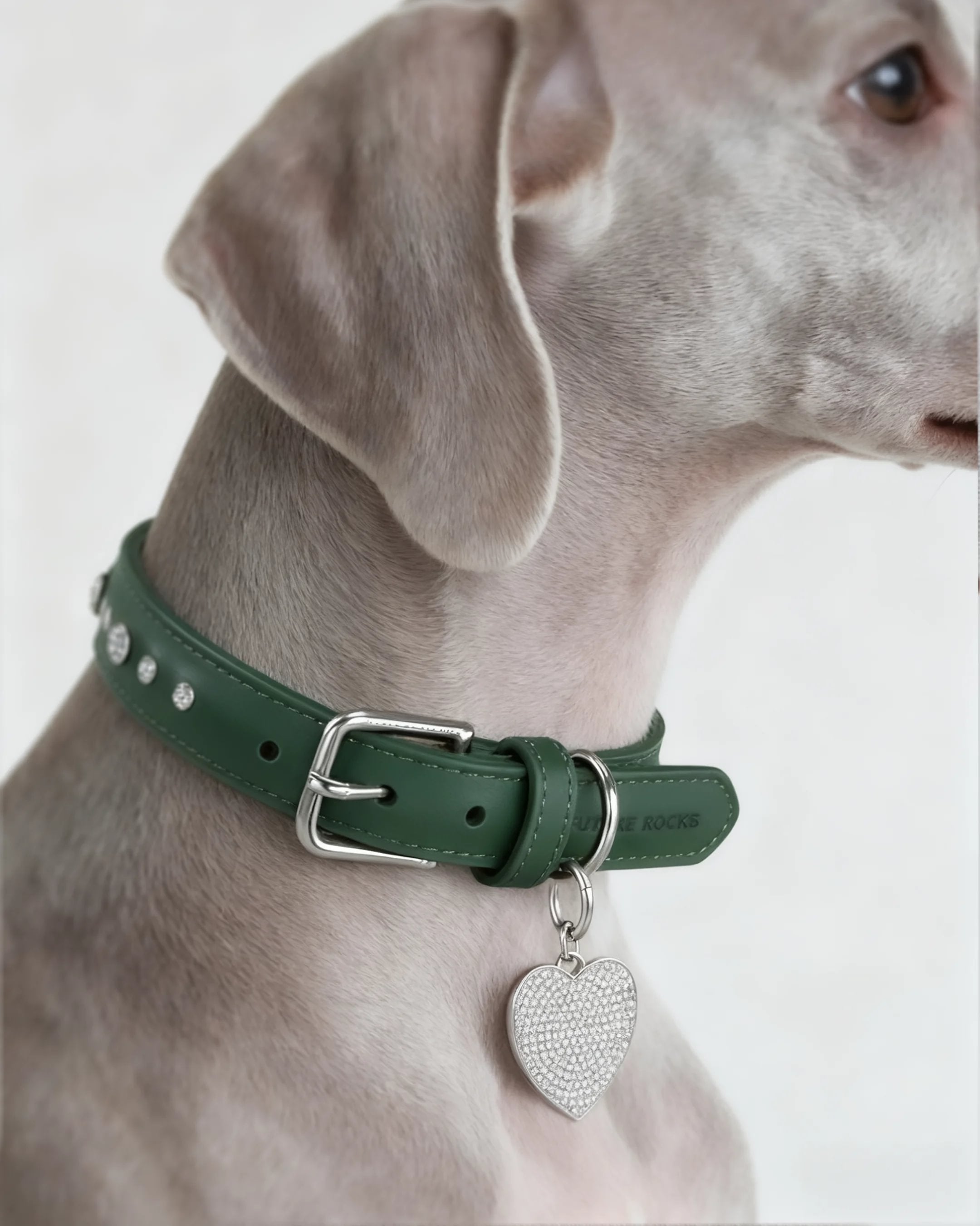  Green vegan leather collar with lab-grown sapphire - Green vegan leather collar with lab-grown sapphire -  The Future Rocks -    6 
