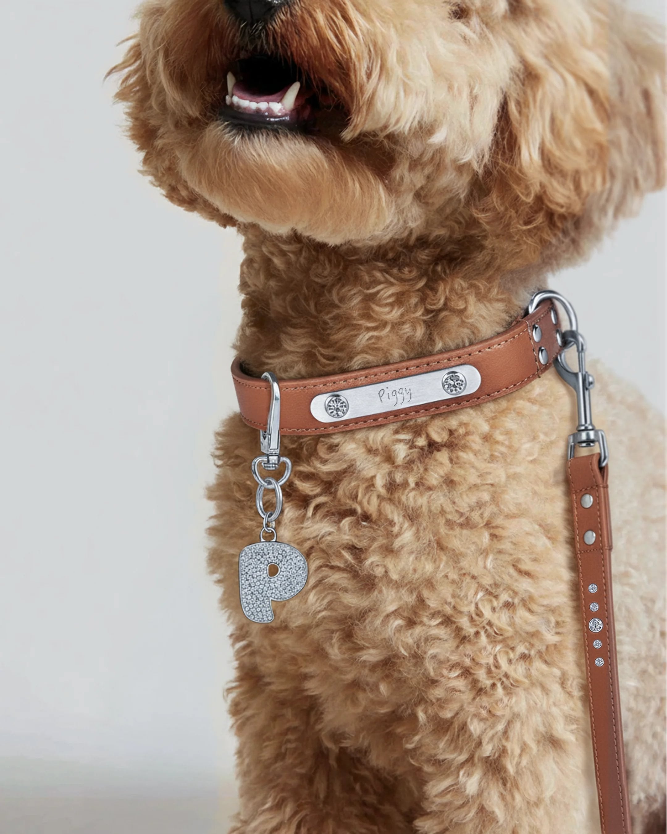 Brown vegan leather collar with lab-grown sapphire - Brown Vegan Leather Dog Collar -  The Future Rocks -    4