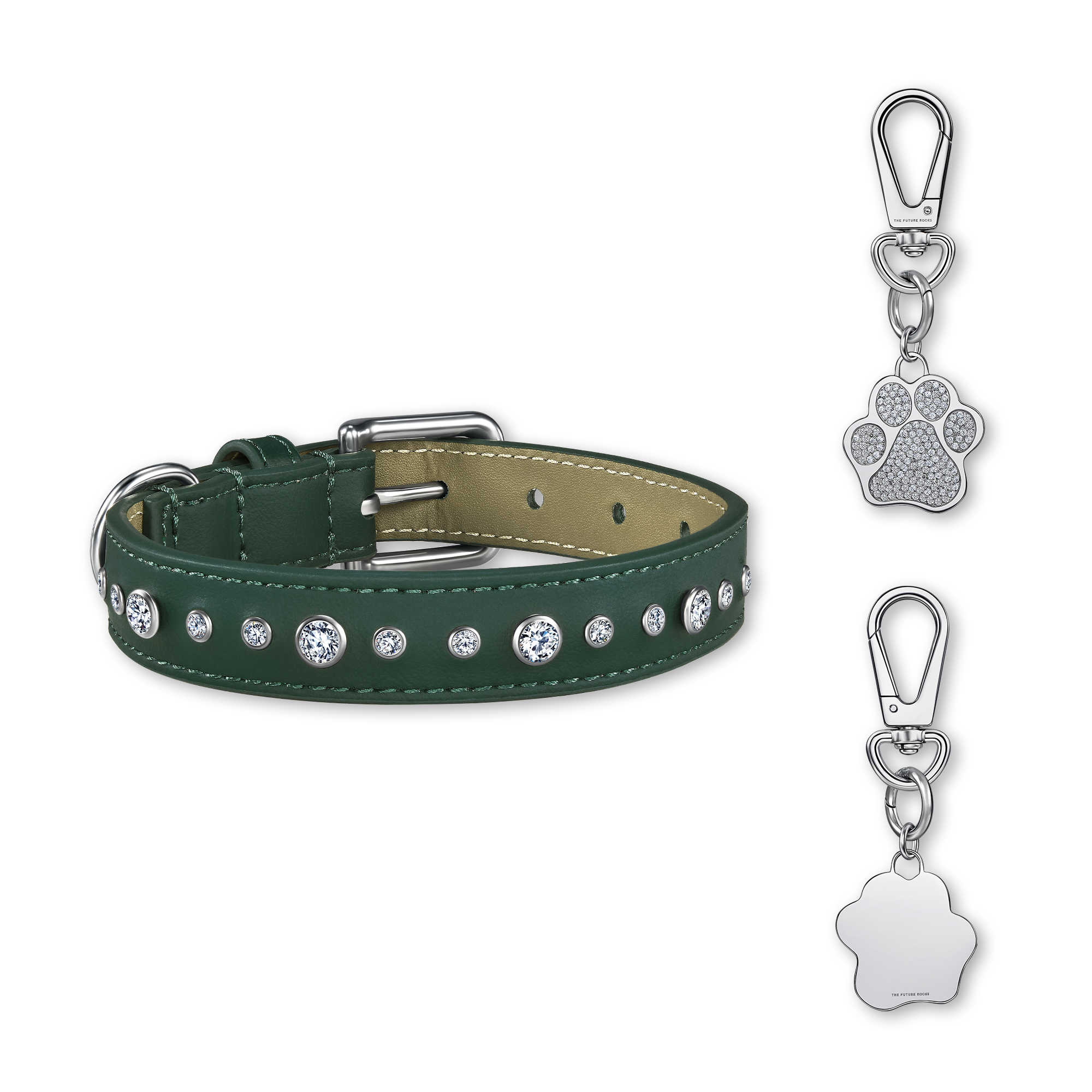 Green pet collar with 1 charm bundle