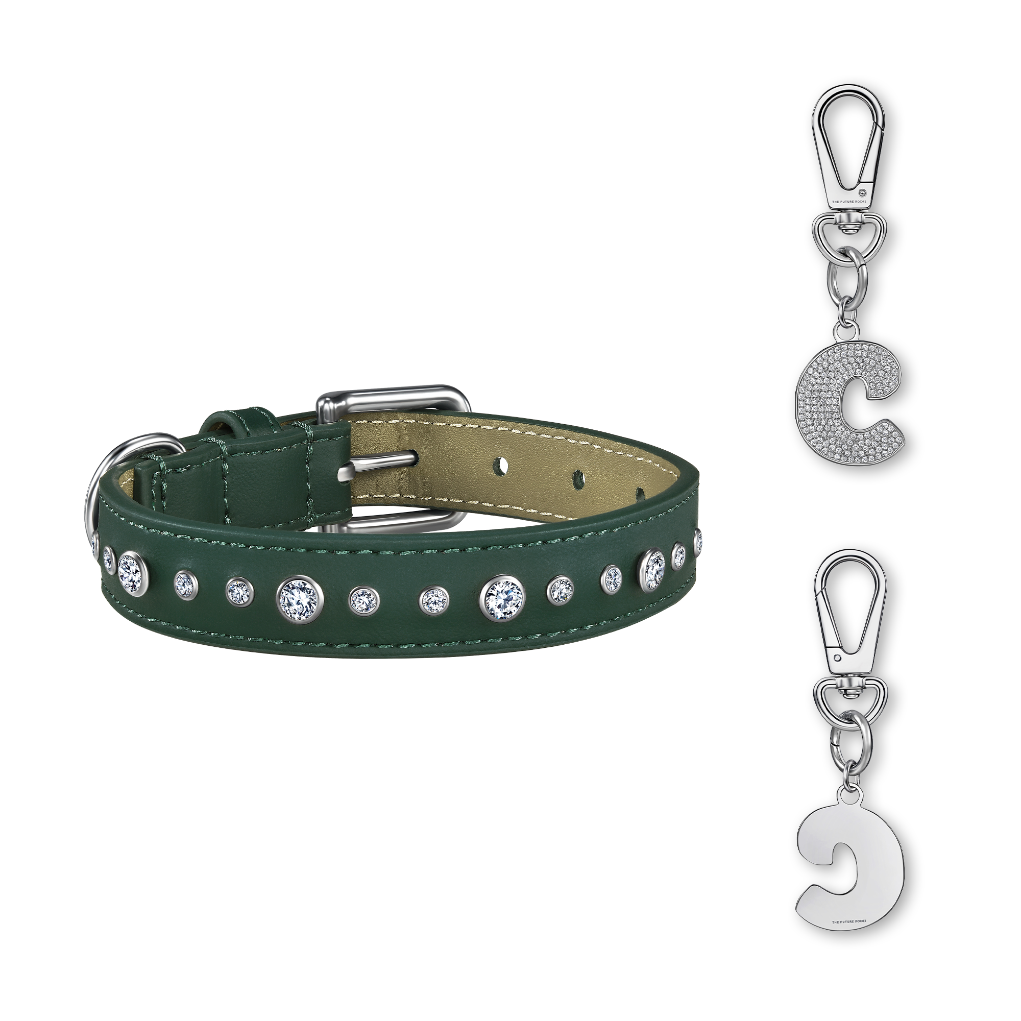 Green pet collar with 1 charm bundle
