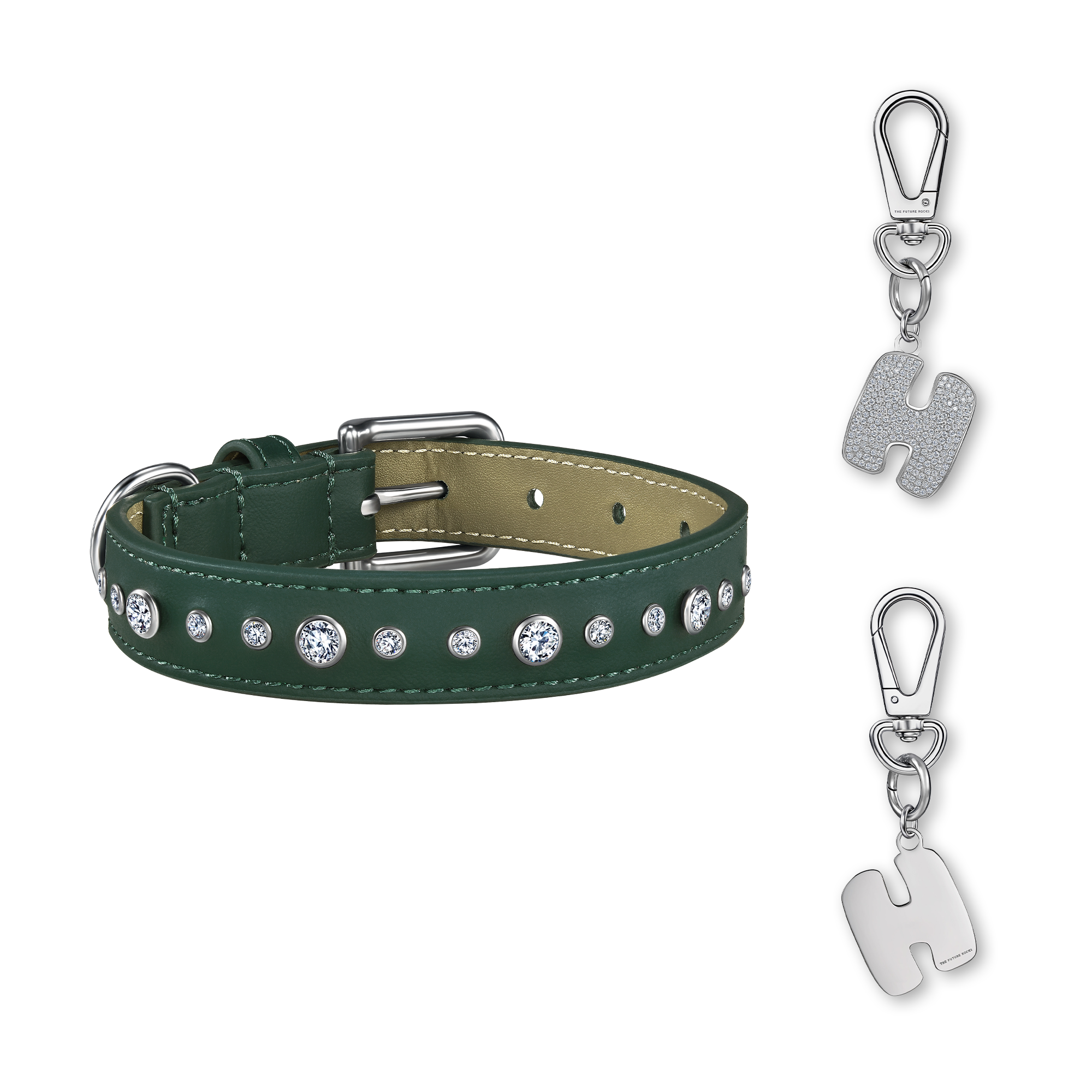 Green pet collar with 1 charm bundle