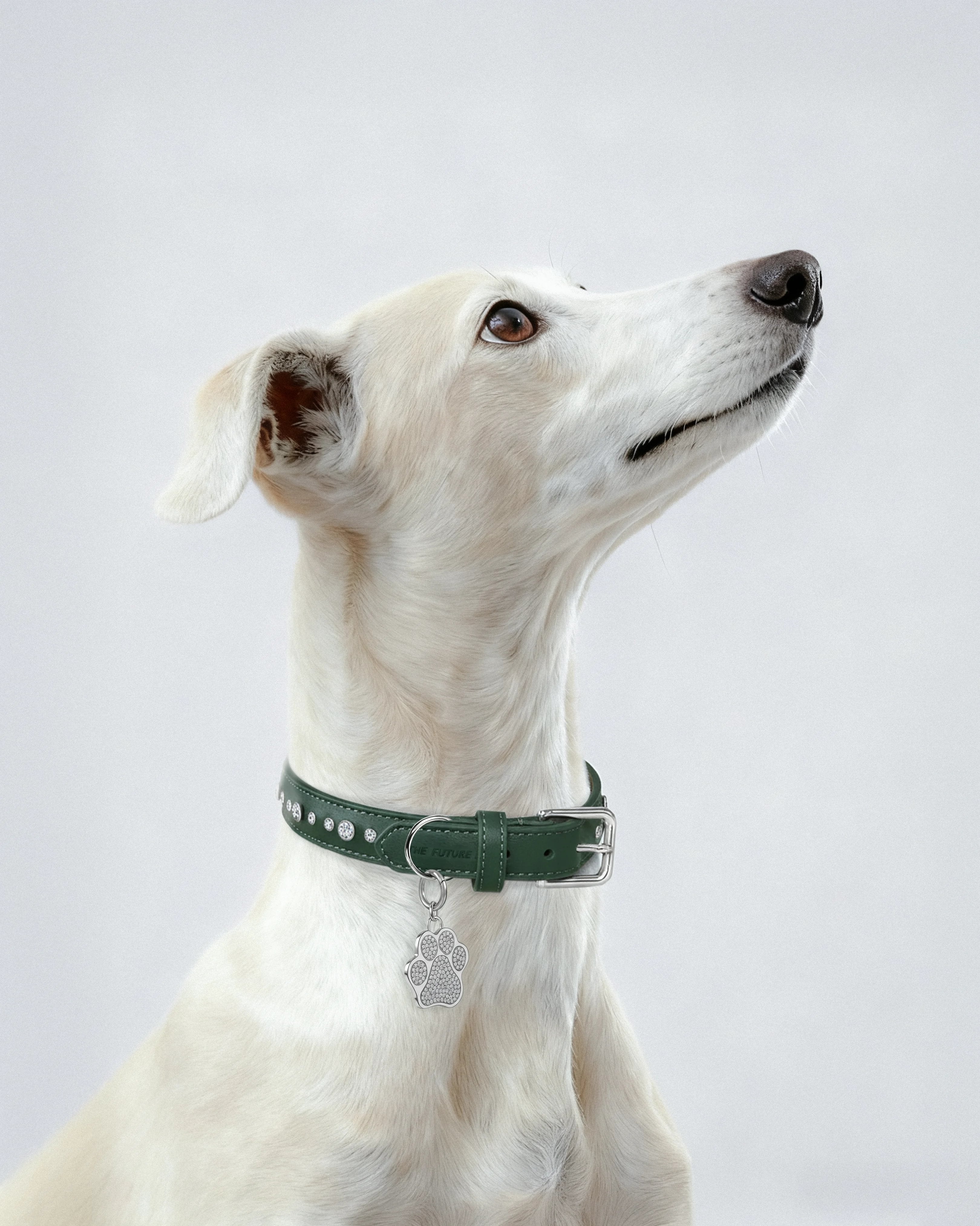 Green vegan leather collar with lab-grown sapphire - Green Vegan Leather Dog Collar -  The Future Rocks -    10
