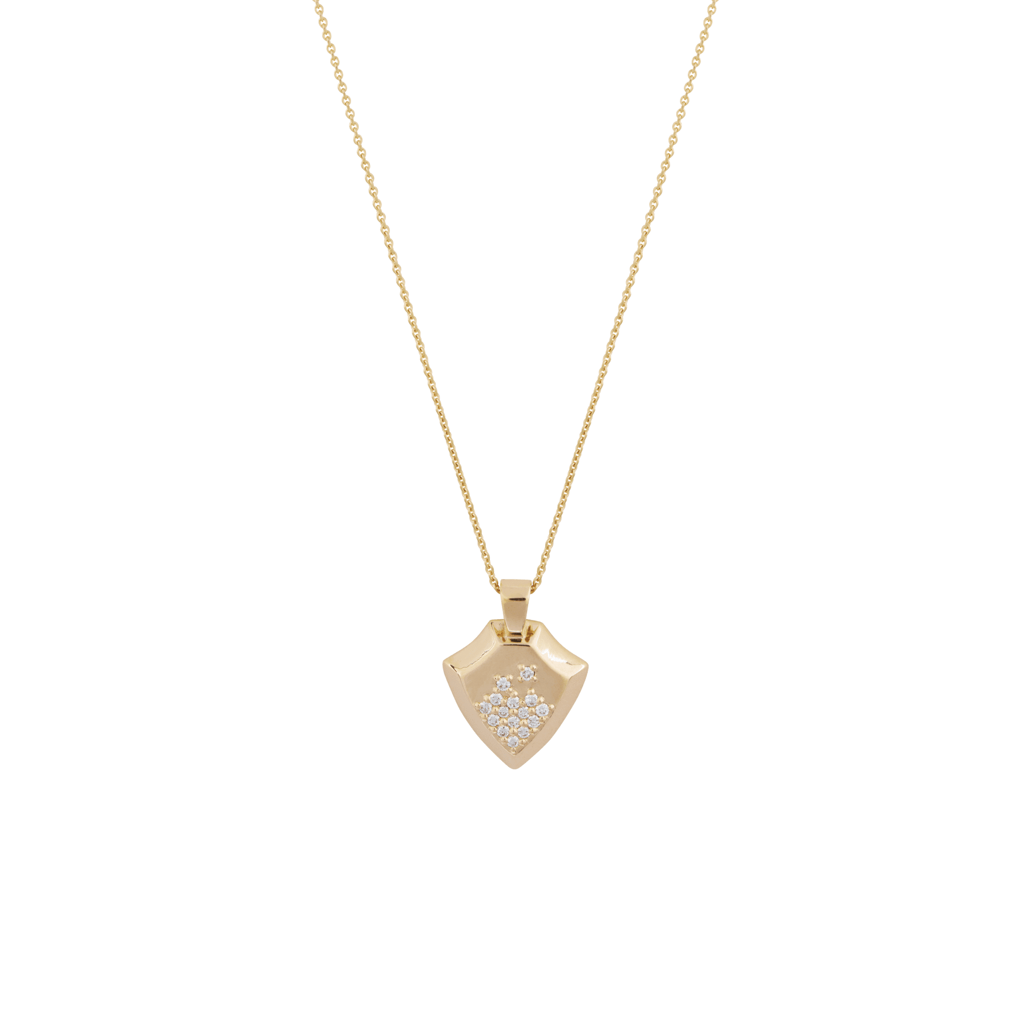  Shield necklace - Shield Necklace -  The Future Rocks -    1 
